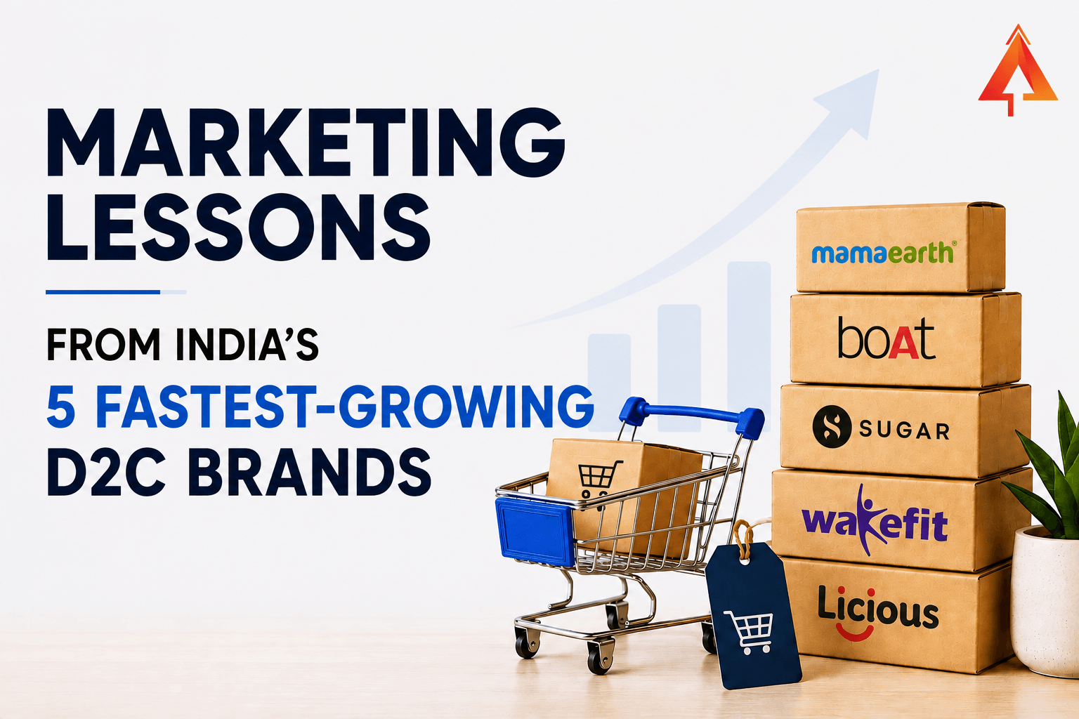 Marketing Lessons From India’s 5 Fastest-Growing D2C Brands